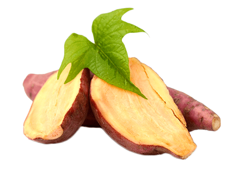 Yacon root in Reduslim