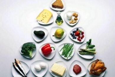 Food pyramid